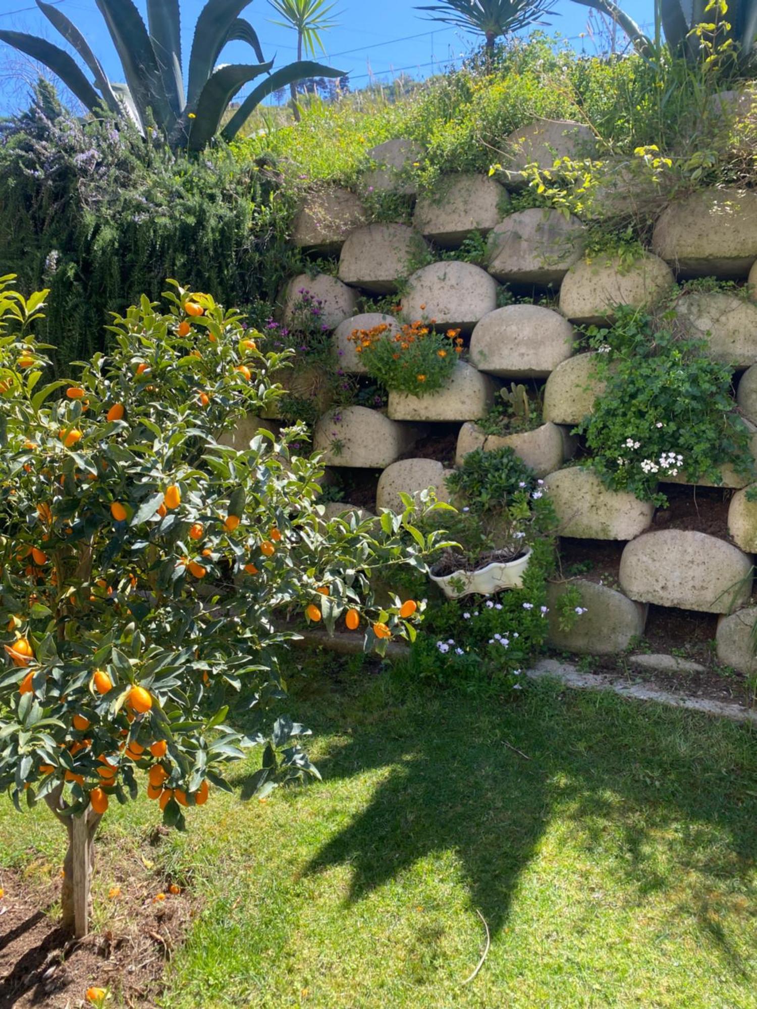 Residenza Roma Bed & Breakfast โตรเปอา ภายนอก รูปภาพ